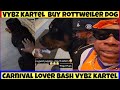 Vybz kartel buy 2 Rottweiler for $120k each | & feed dem  yogurt | car get thief at the circus park