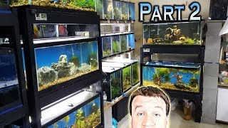 Full Fish Room Tour 2018 - All the Fish! 60 AQUARIUMS - Part 2