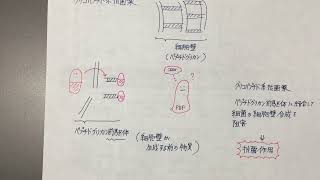 ざっくり薬理学　抗菌薬