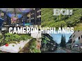 Cameron Highlands Malaysia2022 Things to do | Complete Travel Guide  #travel #Malaysia Travel&Walk