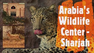 Arabia's Wildlife Center in Sharjah Desert park #UAE Exploring #5 #Indoorzoo