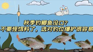 秋季钓鲫鱼没口？不要怪饵料了，选对钓位爆护很容易