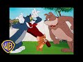Tom Amp Jerry Classic Cartoon Compilation Tom Jerry Amp Spike