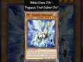 what does zw pegasus twin saber do yugioh cards explained for easy deck building