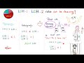 lactate dehydrogenase ldh organ damage biochemistry labs clinical significance