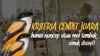 KRITERIA DASAR!! Penilayan Juri Dalam Lomba BURUNG CENDET