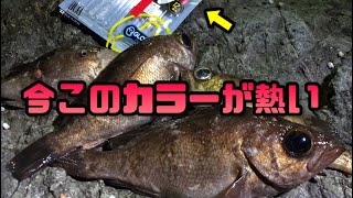 春のメバリングはクリアカラーのワームで渋かろうがボッコボコ