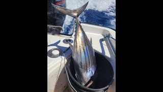 Solo trolling for marlin, Waianae, Oahu, Hawaii. Note: No marlins were caught