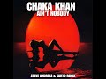 Chaka Khan - Ain't Nobody ( Steve Andreas & Karyo Remix)