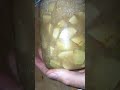 sauvetage de pommes pas mûres le cheong