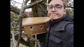 Vogelhaus bauen #001 I Spatz I Das war wohl nichts !