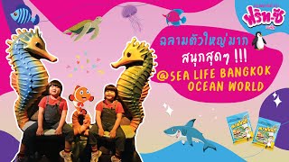 ฉลามตัวใหญ่มาก สนุกสุดๆ !!! @Sea Life Bangkok Ocean World | ฟริท-ซี พลัส