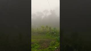 শীতের সকালের প্রকৃতি