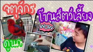 #ep12 #จตุจักร #โซนสัตว์เลี้ยง #ดูนก #เซ็คราคาตอนนี้ #เจอพี่ที่Youtube