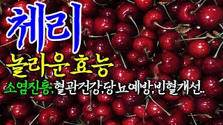 ☞체리의 대단한 효능【빈혈개선,피로회복,소염진통효과가 있는 체리~!】