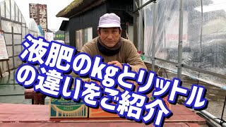 「いちご栽培 いちご農家」液肥の㎏とリットルの違いご紹介