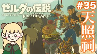 ゲルド地方でスナザラシと砂漠の大冒険#35【ゼルダの伝説 ブレス オブ ザ ワイルド】