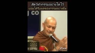 สัตว์ทำกรรมอย่างไร ได้รับกรรรมอย่างนั้น