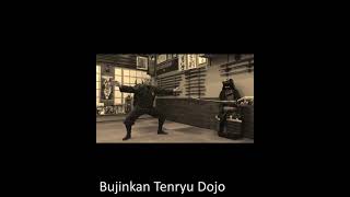 Koto Ryu - Hekito no Kata - Bujinkan Tenryu Dojo