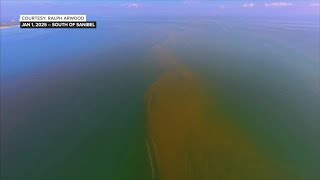 Cold fronts keeping red tide offshore for now