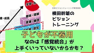 【子どもが不器用なのは「感覚統合」がうまくいっていないかも？】横田幹雄のビジョントレーニングLIVE質問会【第12回】