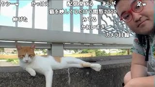 【野田草履P】猫と戯れる　20190919