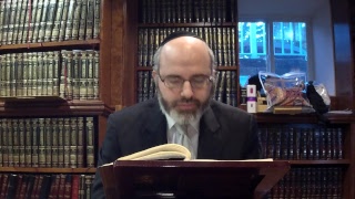 Rabbi Zev Reichman - Daf Yomi Chullin 82