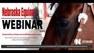 Equine Genetic Diseases