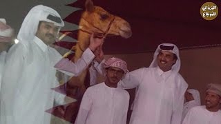 شيله خود 🐪 هجن الشحانيه - إهداء للامير تميم بن حمد آل ثاني التميمي HD