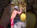 Latest discovery, pure gold found by this man in the forest #goldhunter #The discoveryofgold