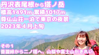 ①丹沢表尾根から塔ノ岳 標高1491m 累積登り1017m 下り294m 尊仏山荘に一泊で東京の夜景を見る 2023年４月上旬 菩提峠から二ノ塔へ、山桜や富士山がきれい！