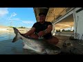 【fishingshare】带新人钓多曼和高旗！klau behrang钓游！taking a newcomer to fish for toman and chao phraya