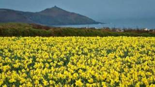 Daffodils by William Wordsworth, read by Kevin Geary