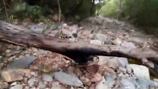 Walking in forest K R Kandrika Village Part 24