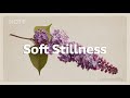 Soft Stillness | Chill House for a Positive Morning Vibe