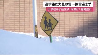 「車が見えない…どうしよう」通学路に\