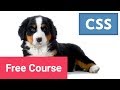 Learn CSS Colors and Backgrounds