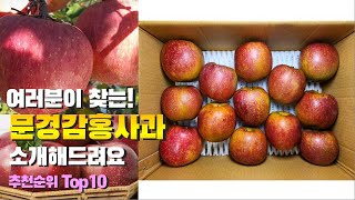 문경감홍사과 이거 하나면 끝! 2023년 역대급 가성비 인기있는 베스트 Top10 리뷰!