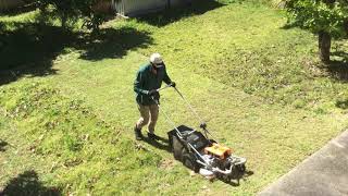 Electric Mowing Lawn clean up