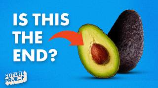 The RISE and FALL of Avocados