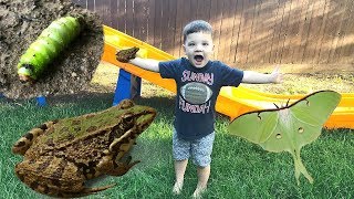 Caleb & Mommy Play Outside and Look for Frogs and Bugs Pretend Play!