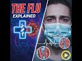 The Flu explained!!!
