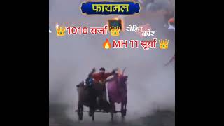 उपमुख्यमंत्री मैदानाचे 1 नंबरचे मानकरी #1010 सर्जा MH 11 #surya  #video #vidioviral #bailgadasharyat