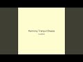 Harmony Tranquil Breeze