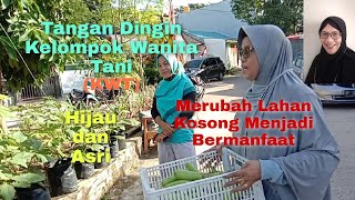 Kerja Keras dan Semangat Kelompok Wanita Tani (KWT) Merubah Lahan Kosong Menjadi Bermanfaat