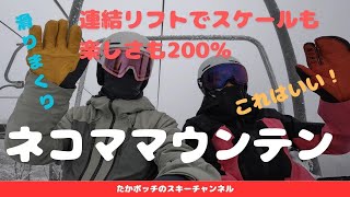 ネコママウンテン　連絡リフトでスケールも楽しさも200％