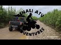 Denali ATV Adventures - riding in the Denali wilderness!