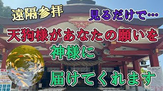 【石鎚神社口之宮本社】天狗様が神様に願いを届けてくれます。人生を変えたい人はぜひご覧ください⛩️。鳥居をくぐるたびに強くなっていく気が感じられます。