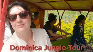 Caribbean Cruise PART 7: Dominica; A LeBlanc Family Adventure (Series!)