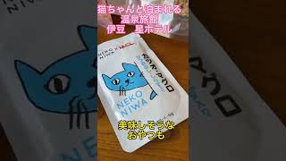 猫ちゃん用のおもちゃいただきました！猫ちゃんと泊まれるお部屋で一緒に遊んでくださーい。